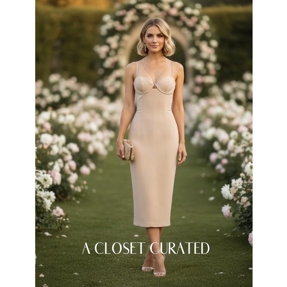 MISHA Kai Midi Dress NWT Pink Shell Nude Size 2